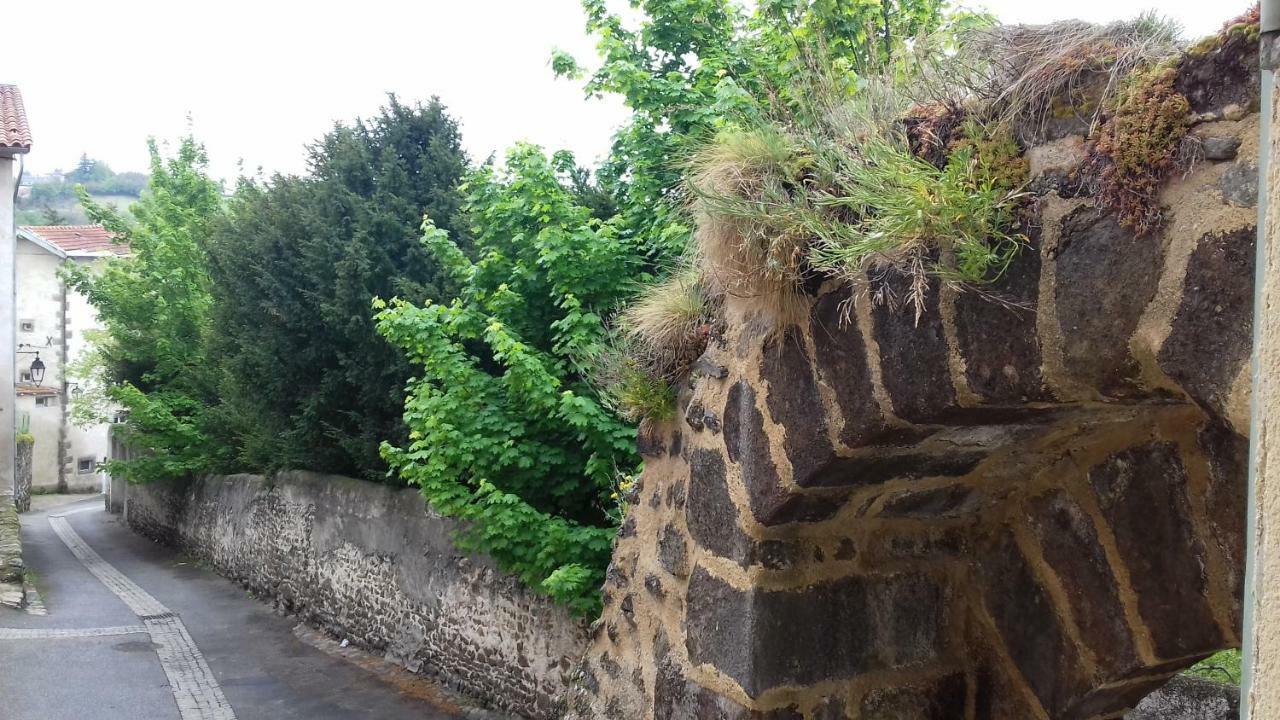 Le Petit Dyke Apartamento Le Puy-en-Velay Exterior foto
